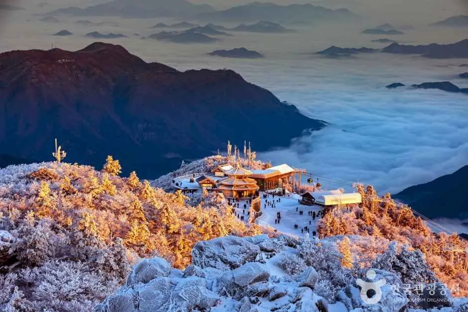 A frost-covered mountain summit lit gold by sunrise, standing above a valley filled with cloud