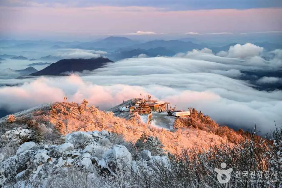 覆着雾凇的岩石山顶迎着日出的光，下方山谷被云海填满