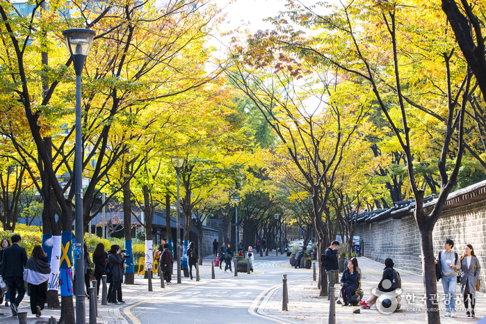 A lane shaded by a full yellow and orange autumn canopy, running beside a stone wall, with people walking and sitting on benches along it