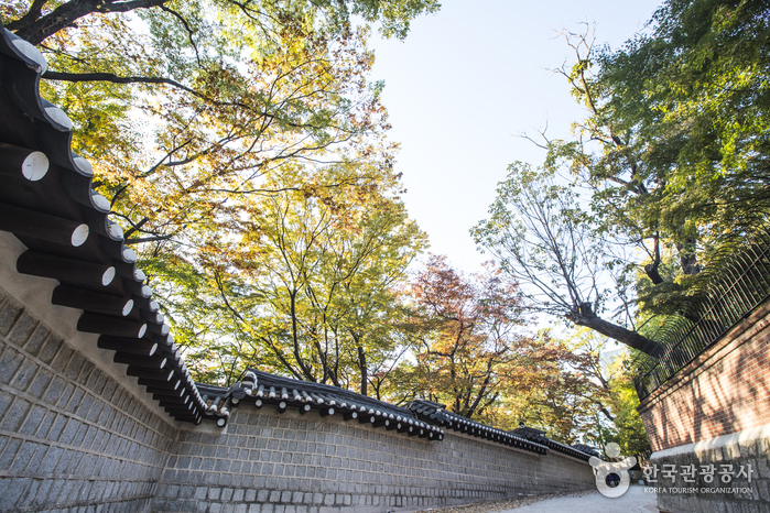 A stone wall topped with dark roof tiles curving away under an autumn canopy of yellow and orange leaves, with an empty lane beside it