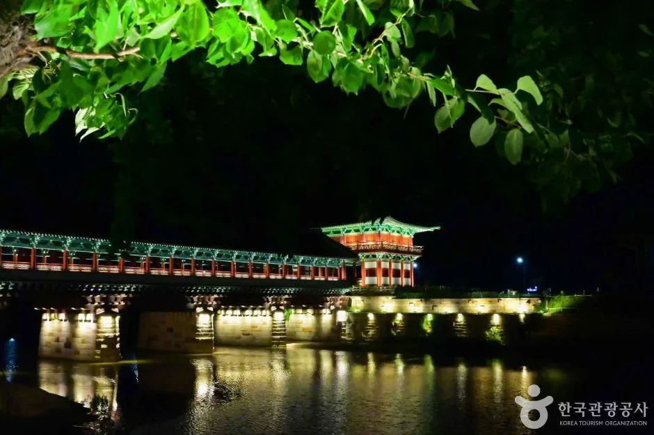 Woljeonggyo bridge lit gold at night, its reflection in the river below, framed by dark leaves