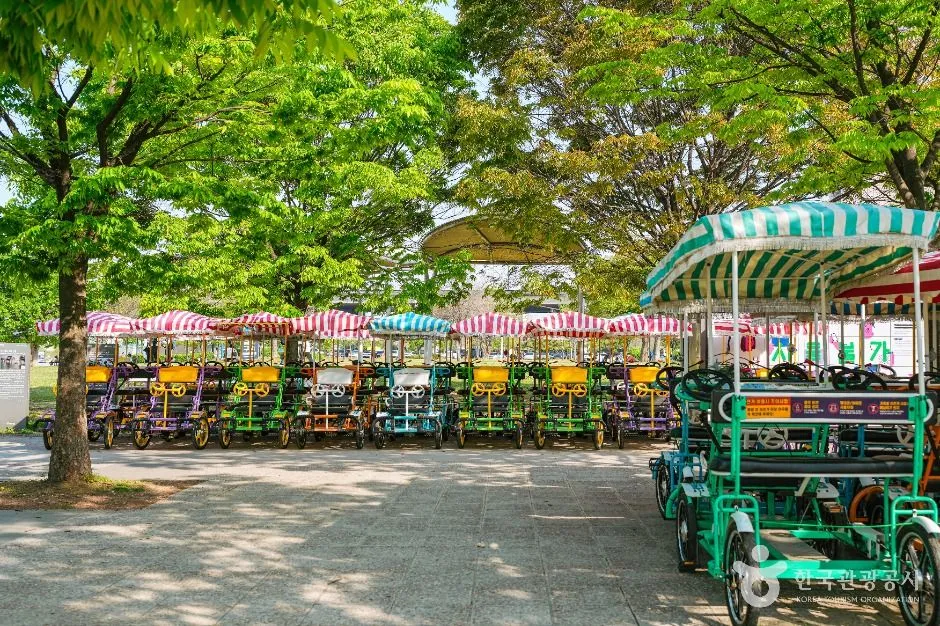 Rows of rental bicycles and pedal carts parked under striped parasols beside a green park path