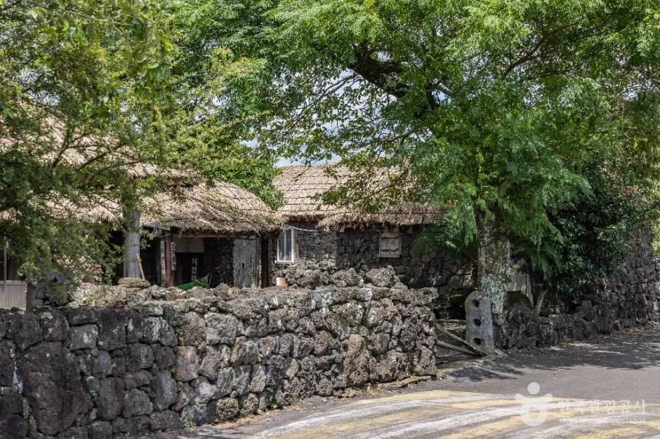 Two thatched houses behind a dry-stacked black basalt wall at Seongeup Folk Village on Jeju, a single holed stone gatepost standing where the wall opens onto a paved lane, under a large leafy tree