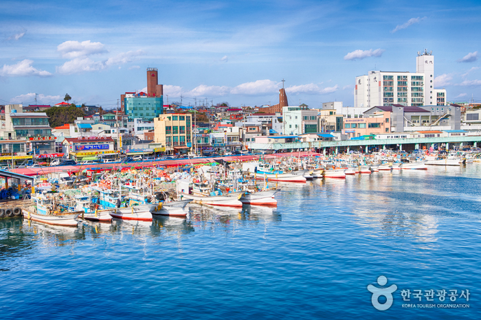 Fishing boats moored at Jumunjin harbour with the town behind