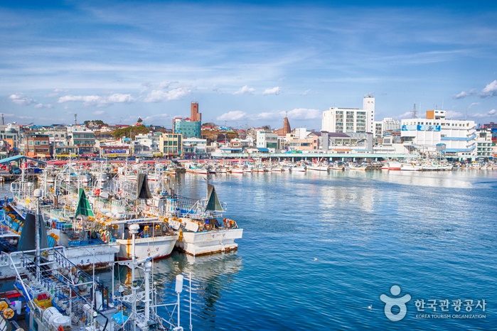 Fishing boats moored in Jumunjin harbour with the coastal town rising behind