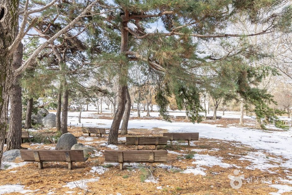 公园草地上积着雪，光秃的树和空着的长椅