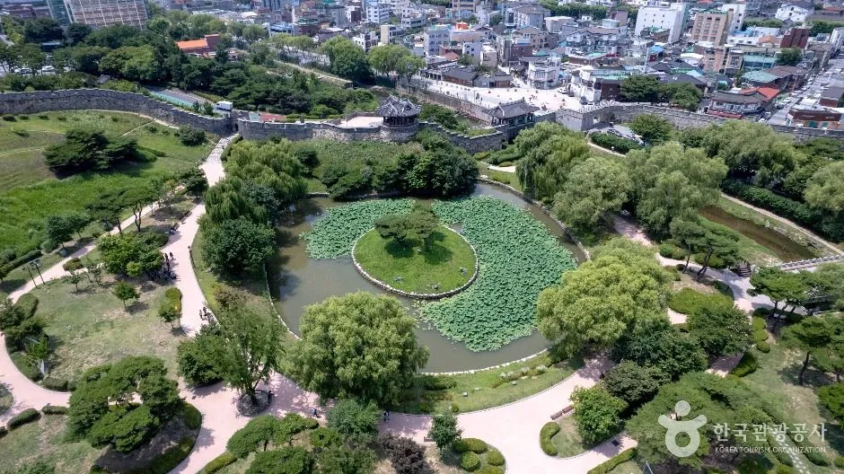 A round pond with a small grassy island, ringed by walking paths and trees, with the fortress wall and apartment blocks beyond